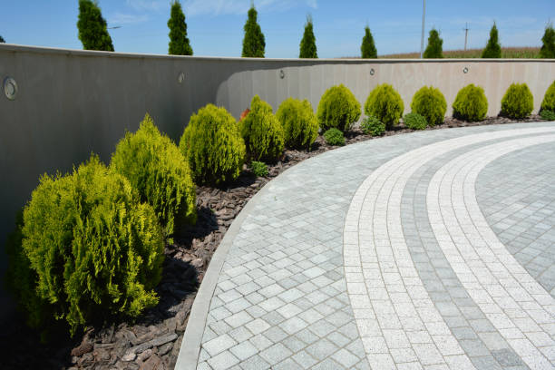 Best Driveway Paver Repair  in Bonnie Brae, IL